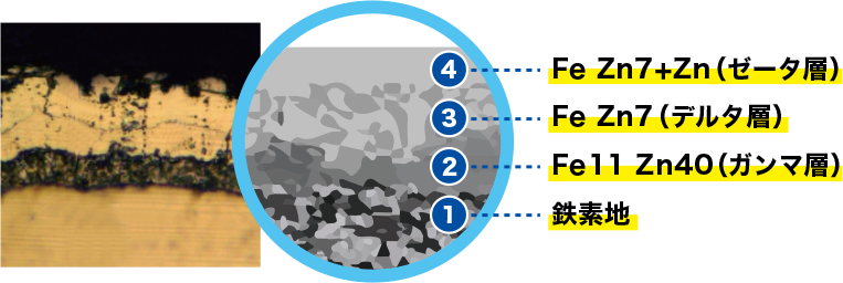 熱拡散亜鉛めっきの断面